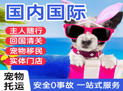 哈尔滨航空物流国际宠物托运 【国